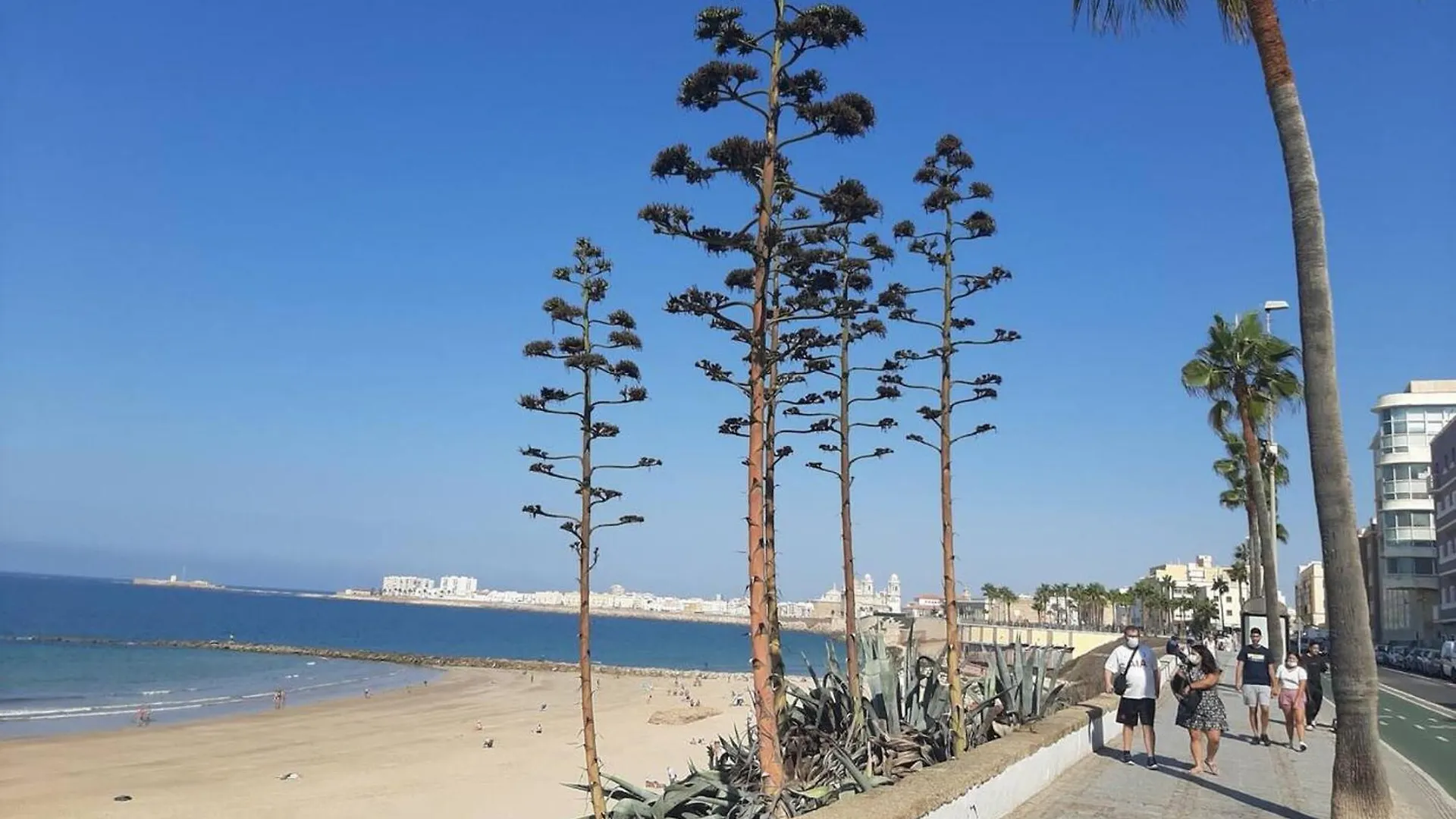 Charming Apartment In Cadiz Near The Beach 63 M² + Terrace Spain